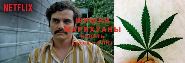 тгк Бугульма