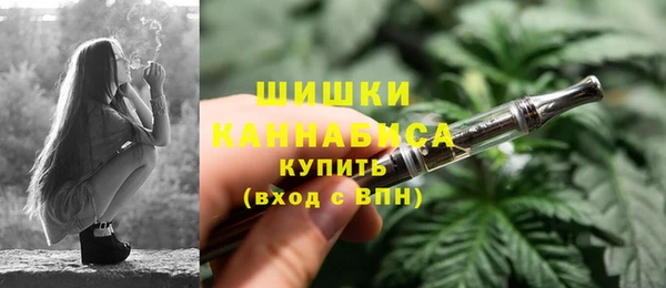 PSILOCYBIN Бородино
