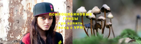 PSILOCYBIN Бородино