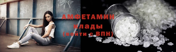 PSILOCYBIN Бородино