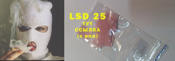 PSILOCYBIN Бородино