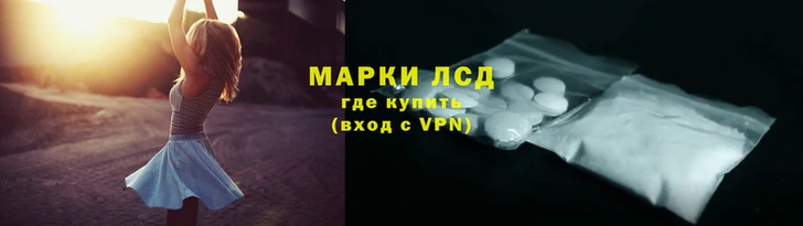 PSILOCYBIN Бородино