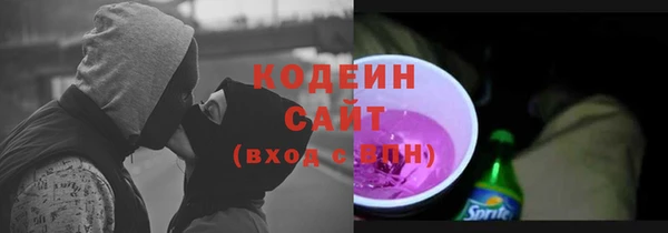 крисы Бронницы