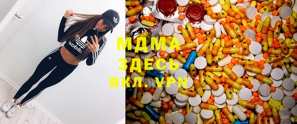 PSILOCYBIN Бородино