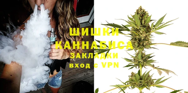 крисы Бронницы
