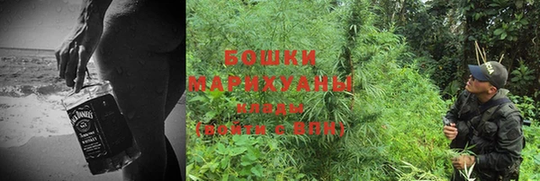 PSILOCYBIN Бородино