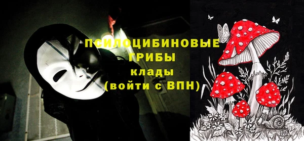 крисы Бронницы